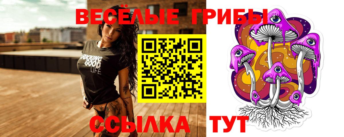Псилоцибиновые грибы прущие грибы  Псилоцибиновые грибы прущие грибы  Вход с VPN  Кировск 
